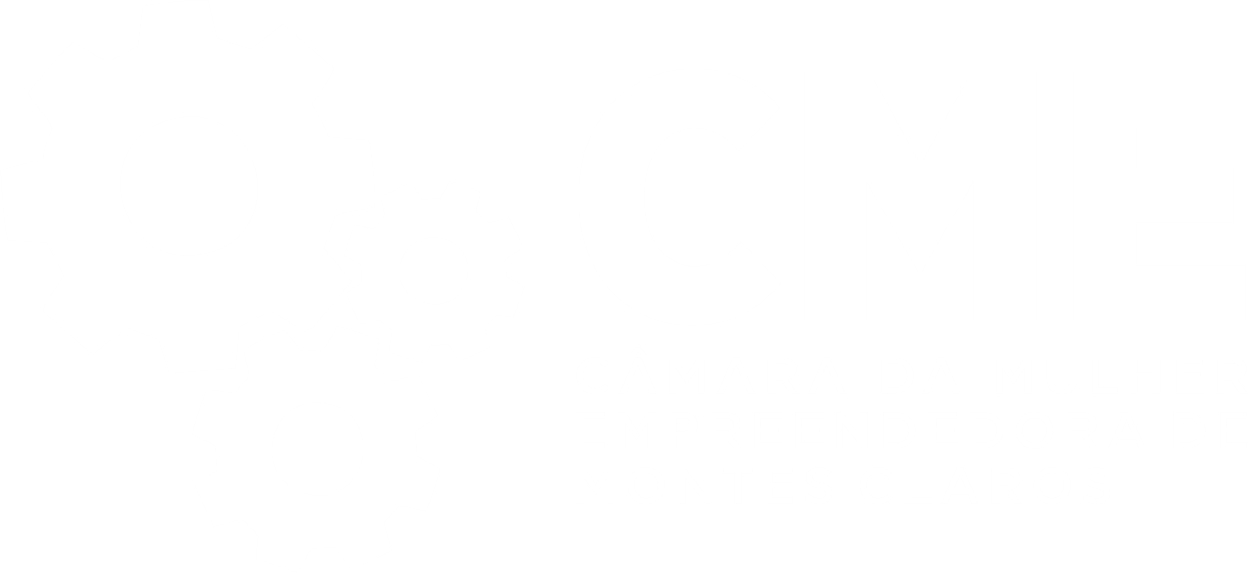 Câmara da Mulher Montes Claros